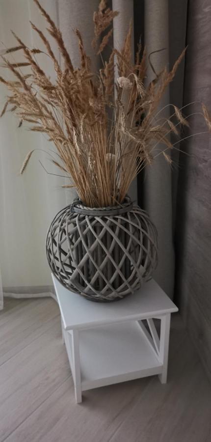 Apartamento Milda Juodkrantė Exterior foto